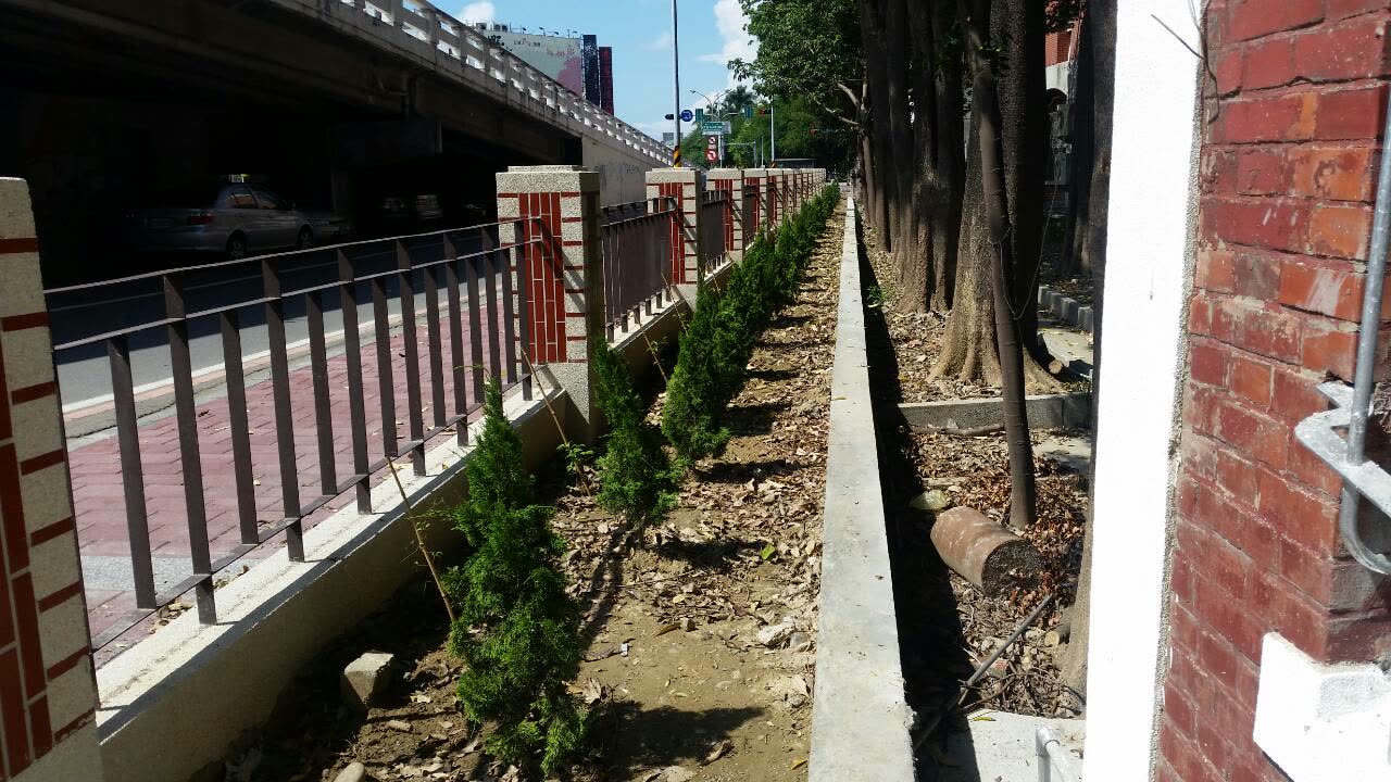國立臺南第二高級中學-台南二中東側音樂教室及人行道周邊景觀改善工程 照片4